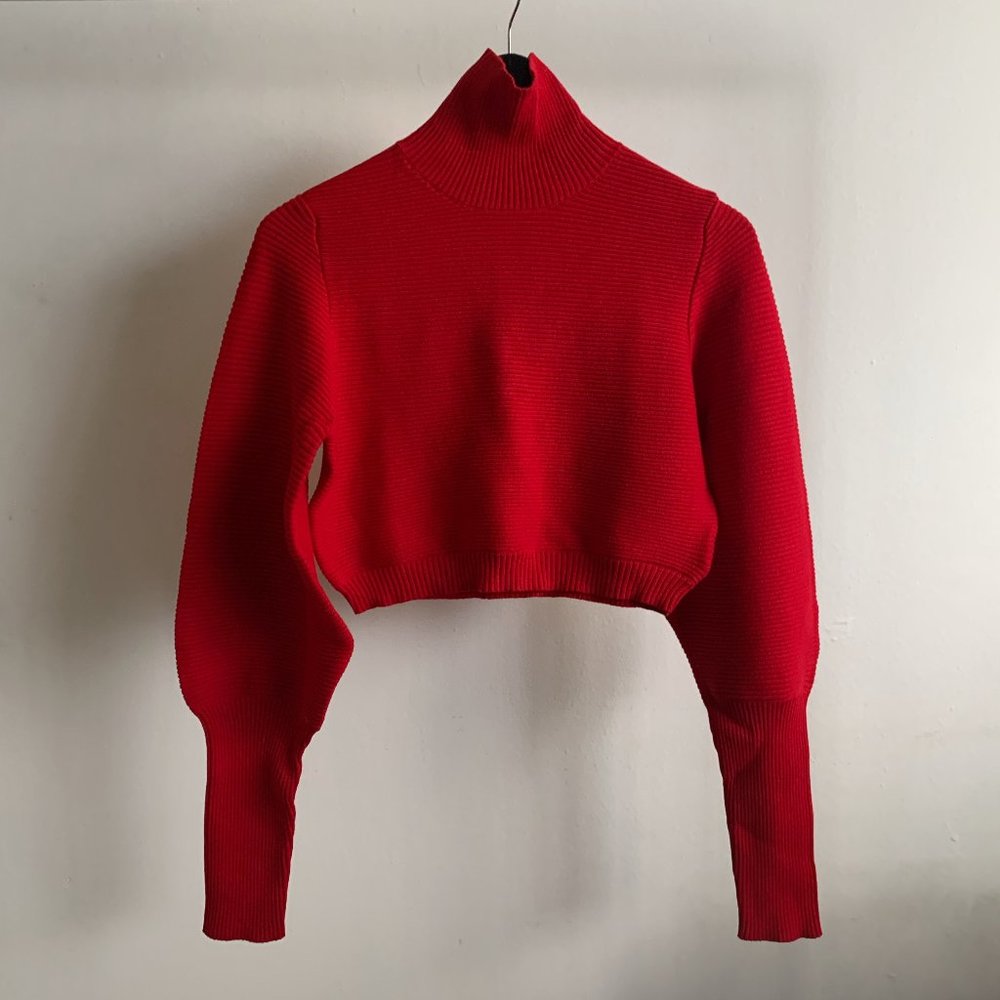 Finders Keepers Red Cropped Turtleneck Sweater, S
